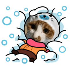 [LINEスタンプ] むむ冬バージョン