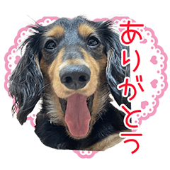 [LINEスタンプ] 落合家のモフモフ★