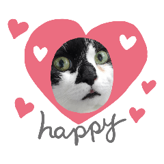 [LINEスタンプ] ねこ大好き〜オペラ2