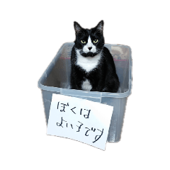 [LINEスタンプ] うちのバロンさん4