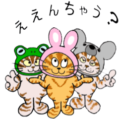 [LINEスタンプ] かぶりもんネコの使う一般的な関西弁