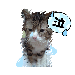 [LINEスタンプ] 新 ハムスターとデグーの日常 4 時々猫