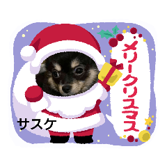 [LINEスタンプ] 新入りサスケ