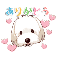 [LINEスタンプ] マルックスわんこ☆小次郎のスタンプ