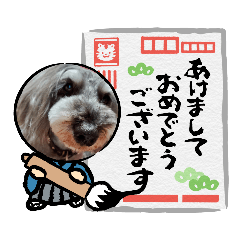 [LINEスタンプ] シュナ最高3