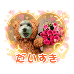 [LINEスタンプ] キュ一トな犬スタンプ