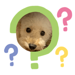 [LINEスタンプ] ワンコさん達の日常