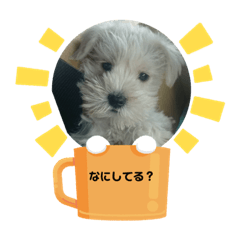 [LINEスタンプ] くるまと犬