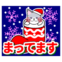 [LINEスタンプ] ぐるネコ in ぐるキャラ_#01 冬スタンプ