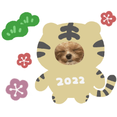 [LINEスタンプ] ♡なぎさ様
