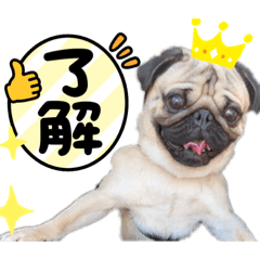 [LINEスタンプ] ぽこ太ととぷお