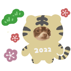 [LINEスタンプ] ♡たえこ様