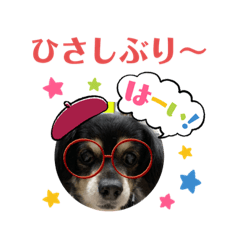 [LINEスタンプ] ポコちゃん 2