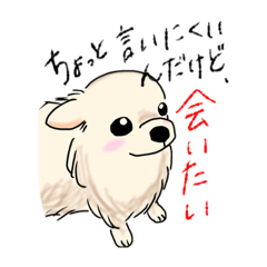 [LINEスタンプ] ホッコリチワワ