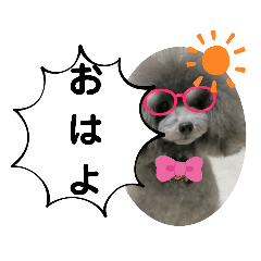 [LINEスタンプ] たけしの スタンプその29