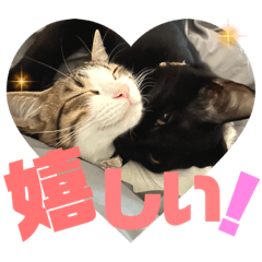 [LINEスタンプ] しんたま日和2