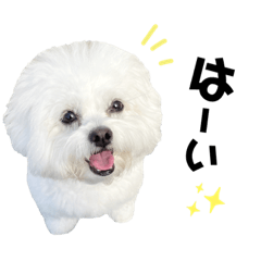 [LINEスタンプ] みるちゃんスタンプ②