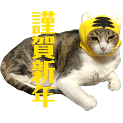 [LINEスタンプ] ごえもん日和 14
