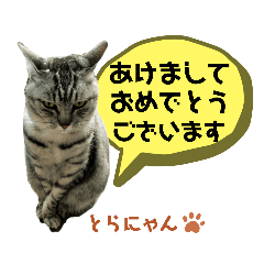[LINEスタンプ] とらねこの新年のご挨拶