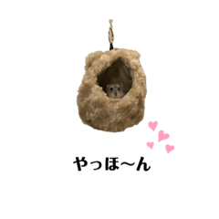 [LINEスタンプ] ばんぺいさん