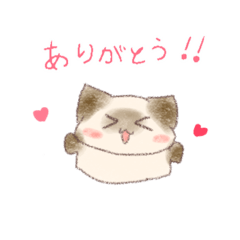 [LINEスタンプ] しゃむ吉食堂LINEスタンプ