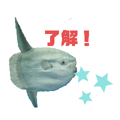 [LINEスタンプ] 魚魚魚⭐