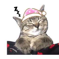 [LINEスタンプ] くにちゃん宅のユズ