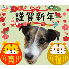 [LINEスタンプ] マロ君の寅トラお正月スタンプ