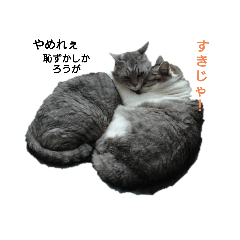 [LINEスタンプ] ととここあ猫スタンプ3(ベイビー)
