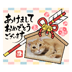 [LINEスタンプ] パンすけあいさつ年始