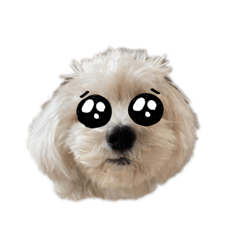 [LINEスタンプ] マルックスのバロンくん6