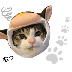[LINEスタンプ] もふもふ仲間