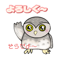 [LINEスタンプ] ふくろう そらのスタンプ