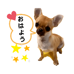 [LINEスタンプ] ココなつスタンプ