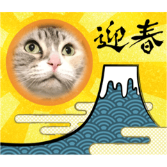 [LINEスタンプ] 2022正月ほたる