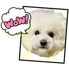 [LINEスタンプ] ビションわらび V5