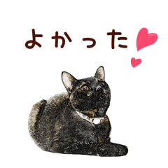 [LINEスタンプ] サビ猫のアート風スタンプ