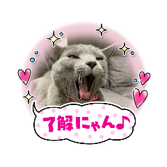 [LINEスタンプ] ジェリー君とトム君