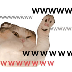 [LINEスタンプ] 猫好きが作ったネコのスタンプの画像（メイン）