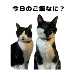 [LINEスタンプ] 福＆藤