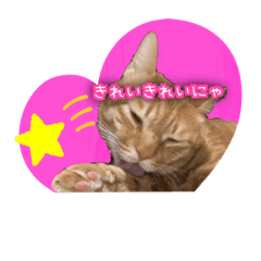 [LINEスタンプ] ちゃろちゅう