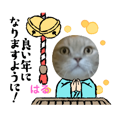 [LINEスタンプ] はるとおめでとう