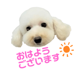 [LINEスタンプ] COCO V7