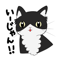 [LINEスタンプ] ハチワレにゃんこのみろくがゆく！