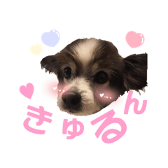 [LINEスタンプ] てる♡