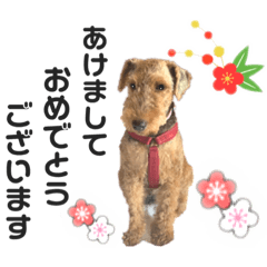 [LINEスタンプ] ウェルシュテリア♡ジェリーさんの1日(25)