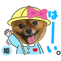 [LINEスタンプ] ポメラニアン姫ちゃん⑬