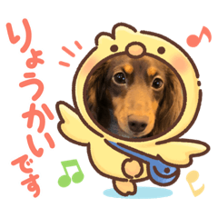[LINEスタンプ] 毎日ココナ‼︎