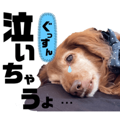 [LINEスタンプ] らぶぞぅr