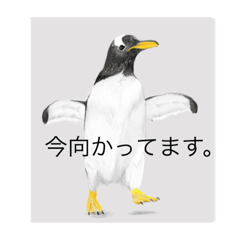 [LINEスタンプ] 神在月のペンギンスタンプ1